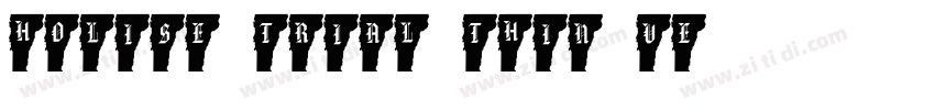 HOLISE_TRIAL Thin Ve字体转换
